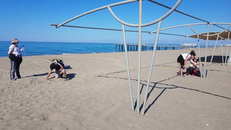 Caretta Carettaların Yuvalama Döneminde İşletmecilere "ışık" Ve "şezlong" Uyarısı
