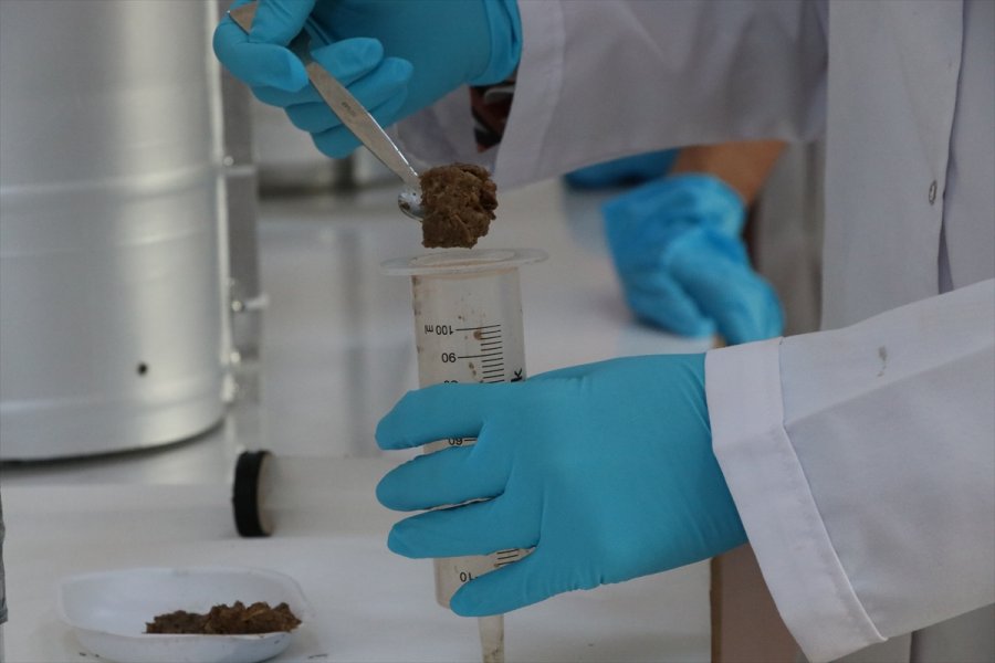 Organik Evsel Atıklardan Üretilen Biyogazın Verimliliği Grafenle Yüzde 30 Artırıldı