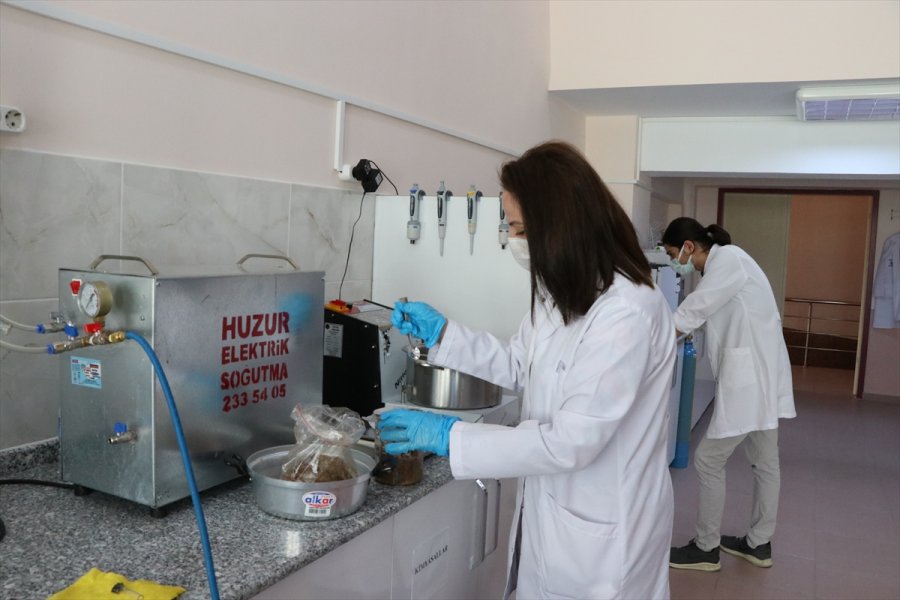 Organik Evsel Atıklardan Üretilen Biyogazın Verimliliği Grafenle Yüzde 30 Artırıldı