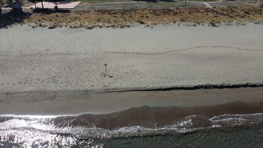 Doğu Akdeniz Sahilleri Anaç Deniz Kaplumbağaları İçin Hazırlandı