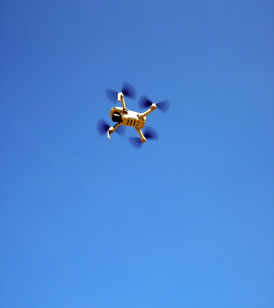 Doğu Akdeniz Sahilleri Anaç Deniz Kaplumbağaları İçin Hazırlandı