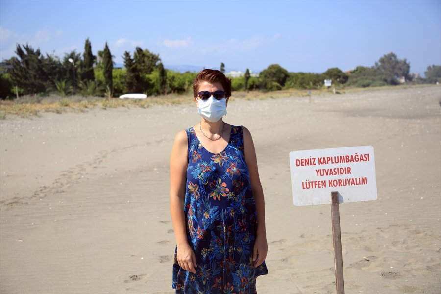 Doğu Akdeniz Sahilleri Anaç Deniz Kaplumbağaları İçin Hazırlandı