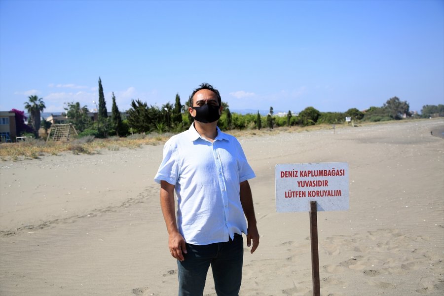 Doğu Akdeniz Sahilleri Anaç Deniz Kaplumbağaları İçin Hazırlandı