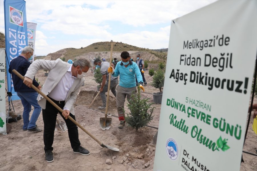 Melikgazi'de 250 Tür Ağaç Dikildi