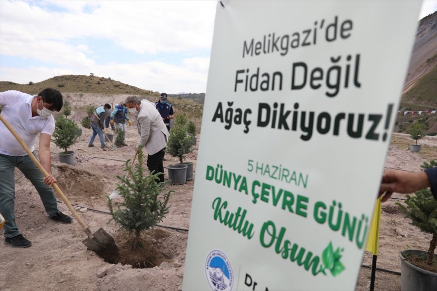 Melikgazi'de 250 Tür Ağaç Dikildi