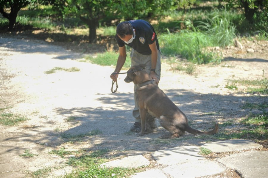 Antalya'da Kayıp İhbarı Yapılan Kişiyi Arama Çalışmaları Devam Ediyor