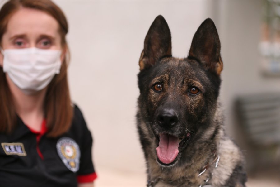 Eskişehir Emniyetinin Özel Köpeklerini Anne Şefkatiyle Eğitiyorlar