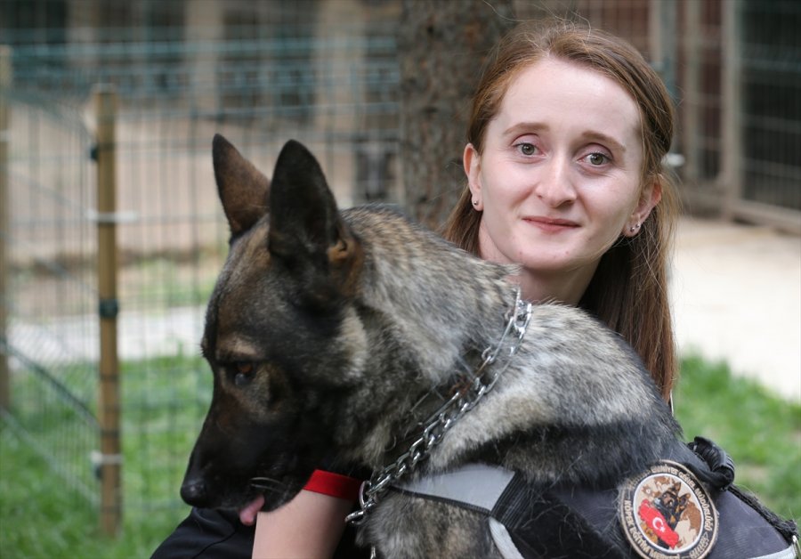 Eskişehir Emniyetinin Özel Köpeklerini Anne Şefkatiyle Eğitiyorlar