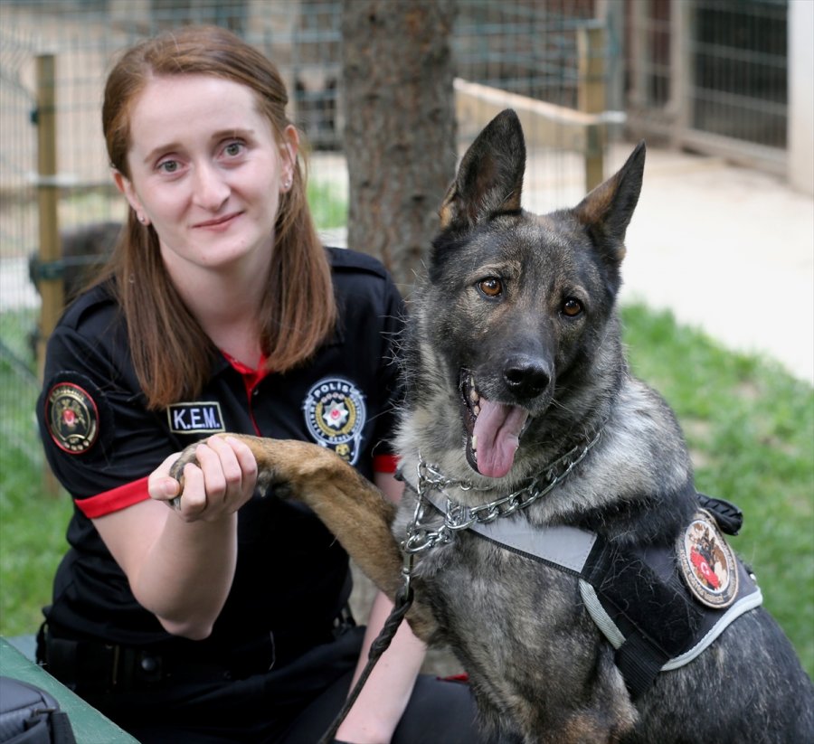 Eskişehir Emniyetinin Özel Köpeklerini Anne Şefkatiyle Eğitiyorlar