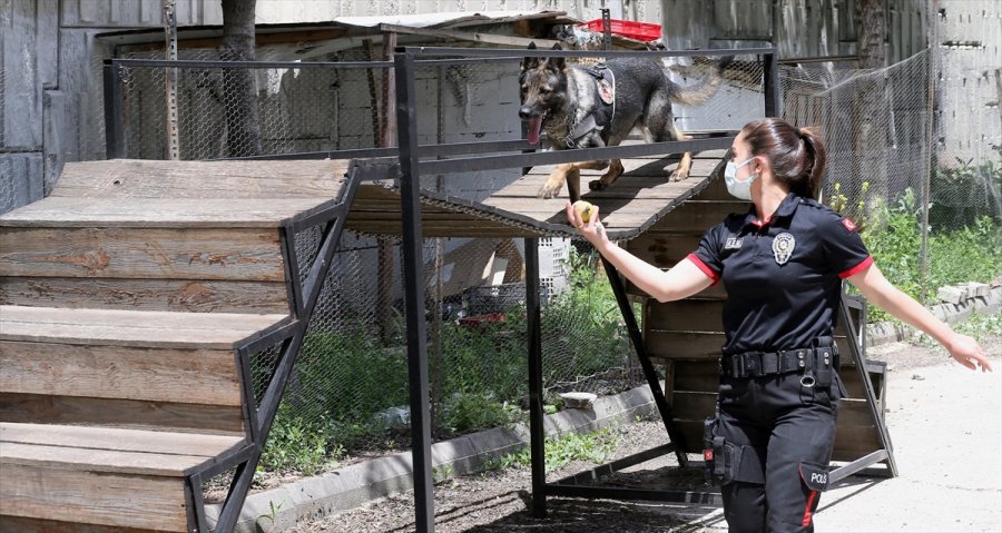 Eskişehir Emniyetinin Özel Köpeklerini Anne Şefkatiyle Eğitiyorlar