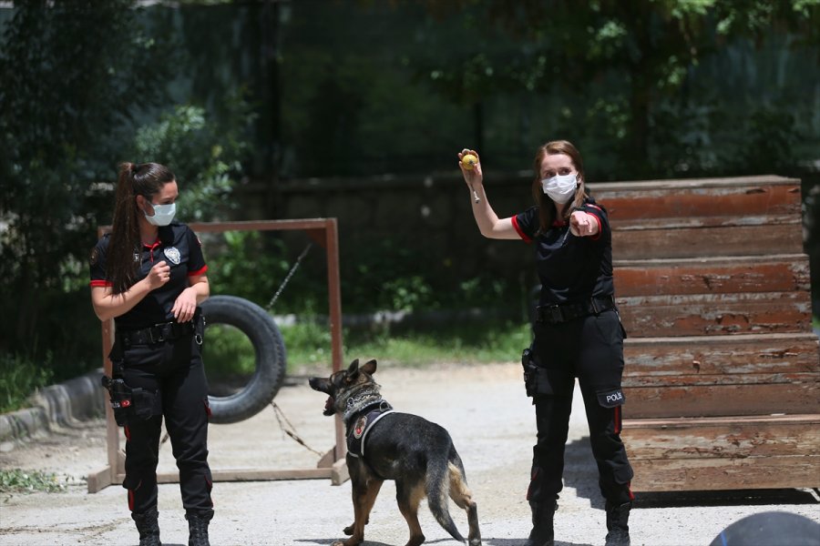Eskişehir Emniyetinin Özel Köpeklerini Anne Şefkatiyle Eğitiyorlar