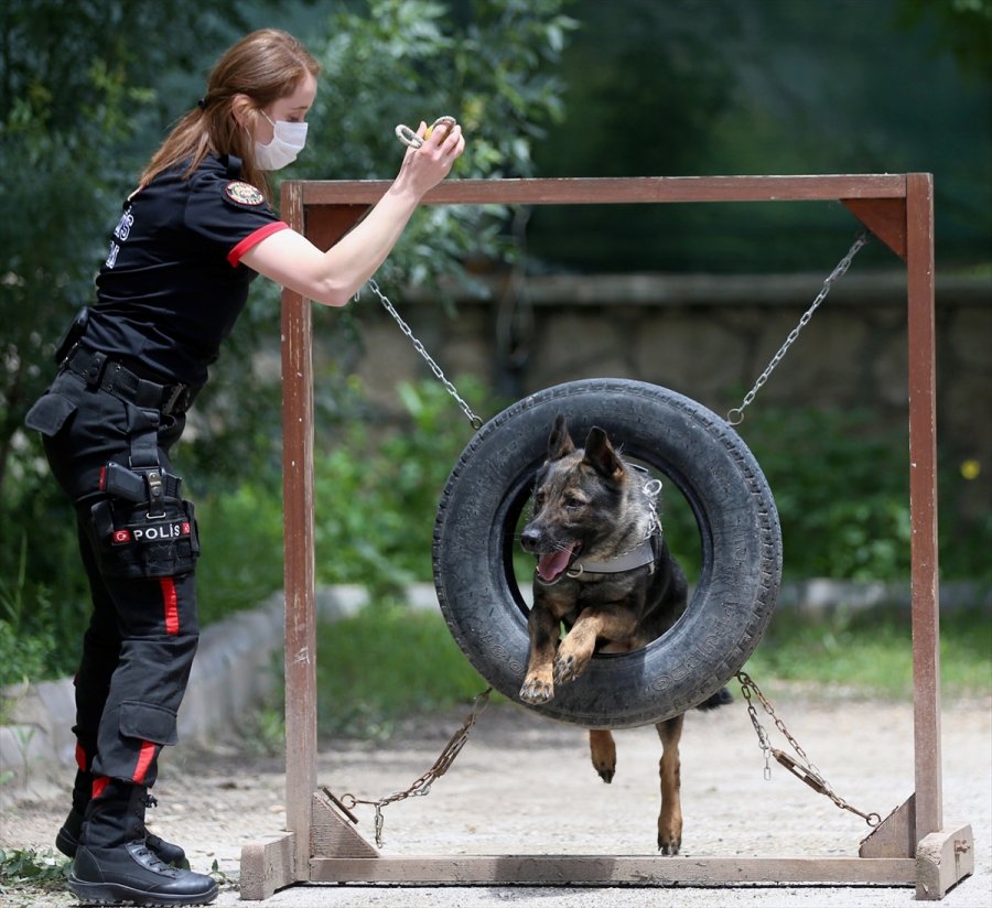 Eskişehir Emniyetinin Özel Köpeklerini Anne Şefkatiyle Eğitiyorlar
