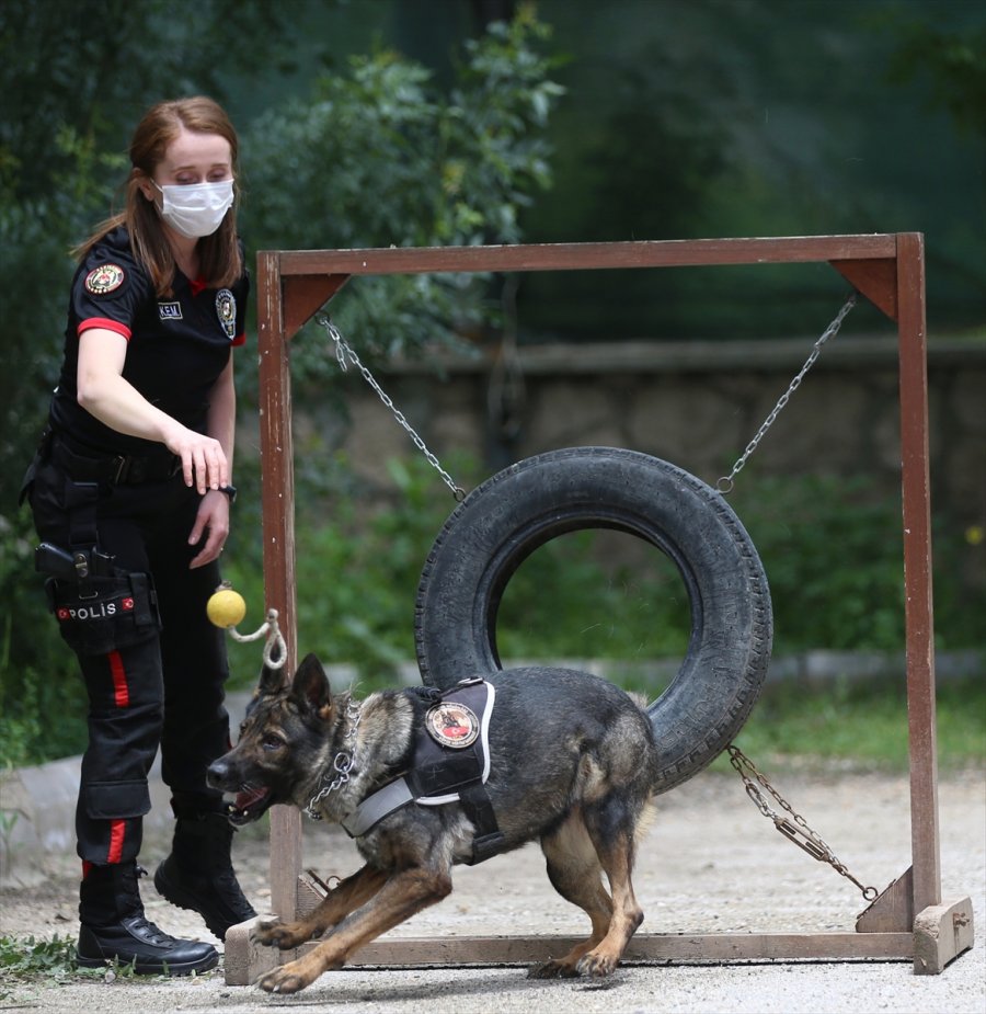 Eskişehir Emniyetinin Özel Köpeklerini Anne Şefkatiyle Eğitiyorlar