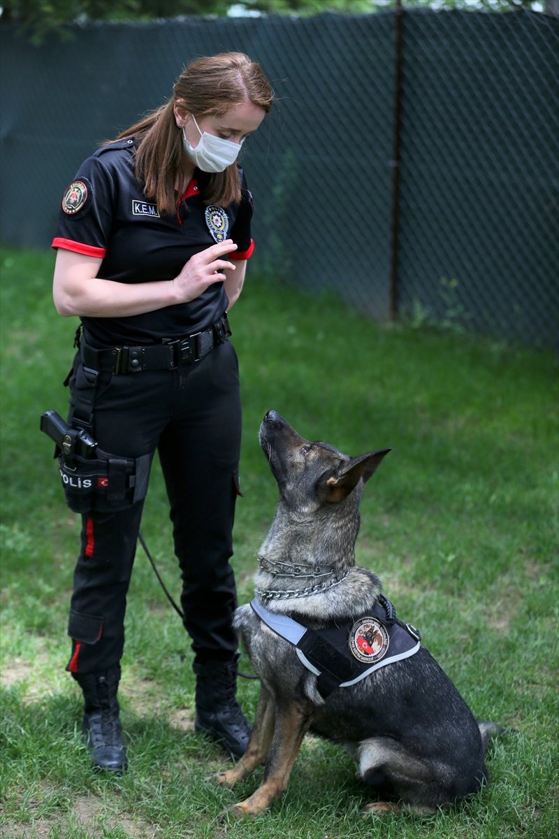 Eskişehir Emniyetinin Özel Köpeklerini Anne Şefkatiyle Eğitiyorlar