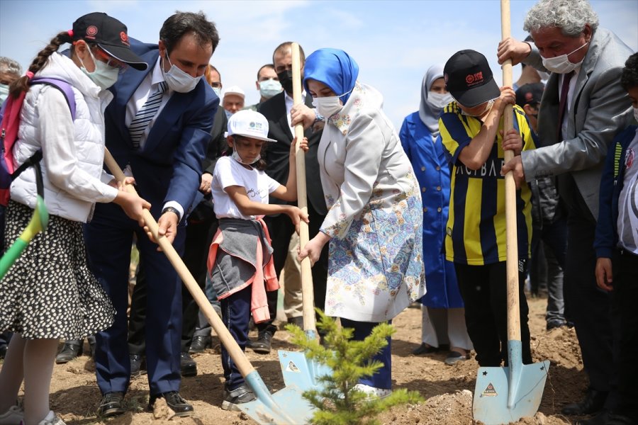 Eskişehir'de "sıfır Atık Kazanımları Ormanı" Fidanla Buluştu