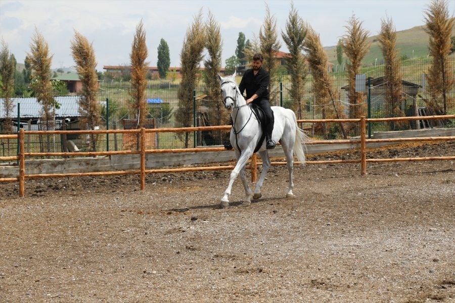 Ankaralı Genç Atlara Olan Sevgisiyle Sağlık Sektöründen Ayrıldı Çiftlik İşletmeye Başladı
