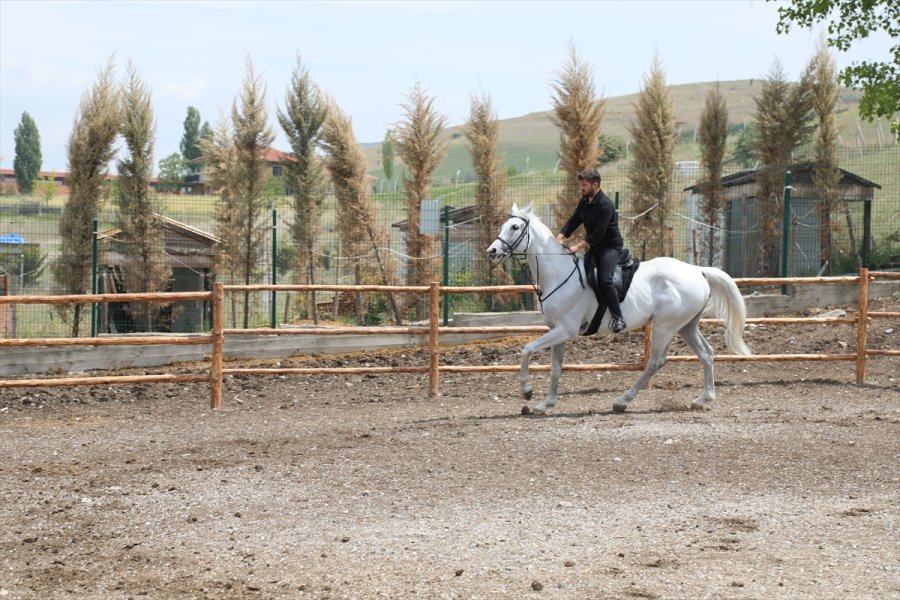 Ankaralı Genç Atlara Olan Sevgisiyle Sağlık Sektöründen Ayrıldı Çiftlik İşletmeye Başladı