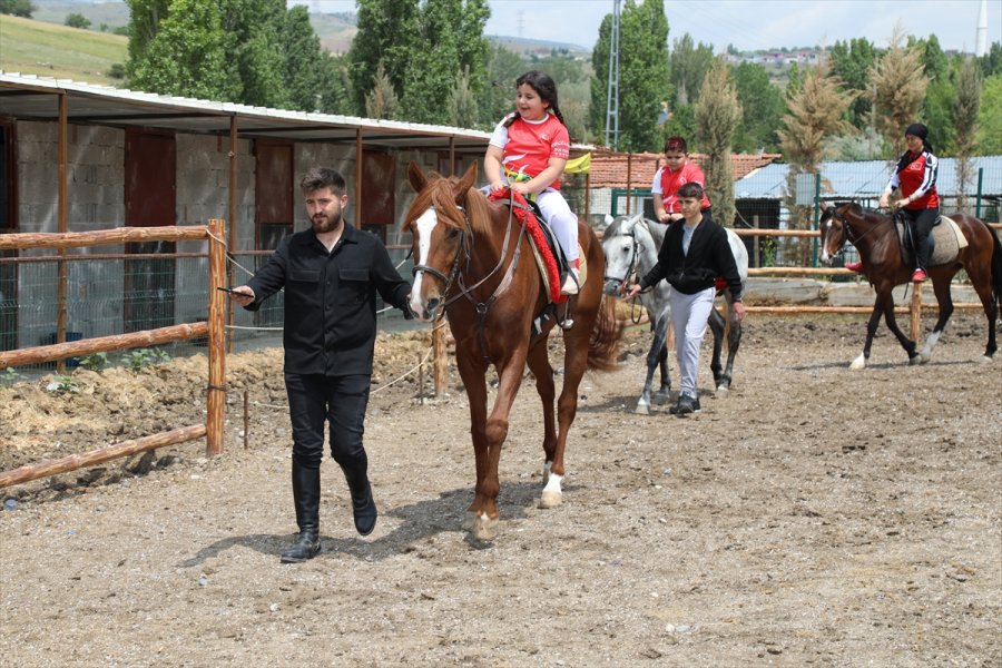 Ankaralı Genç Atlara Olan Sevgisiyle Sağlık Sektöründen Ayrıldı Çiftlik İşletmeye Başladı