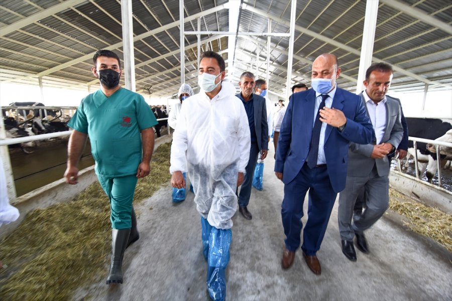 Deva Partisi Genel Başkanı Ali Babacan, Konya'da Esnafı Ziyaret Etti