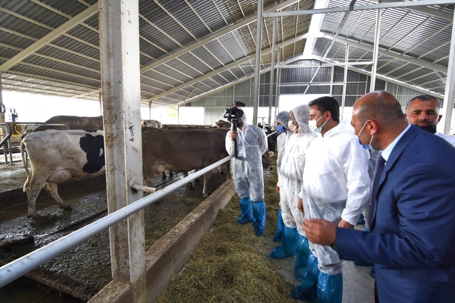 Deva Partisi Genel Başkanı Ali Babacan, Konya'da Esnafı Ziyaret Etti