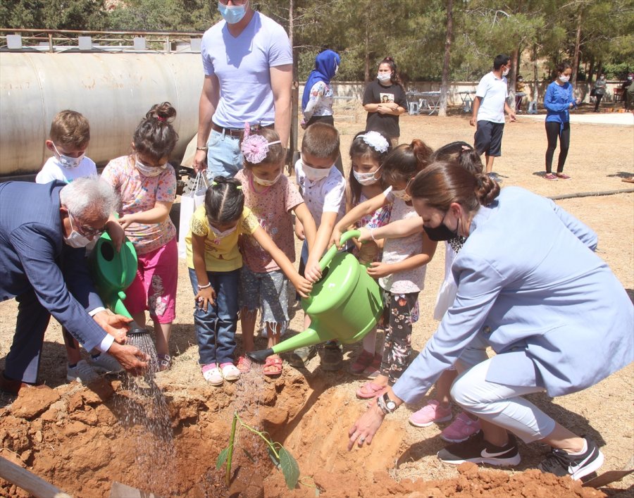 Akkuyu Nükleer Aş Çalışanları, Öğrencilerle Fidan Dikti