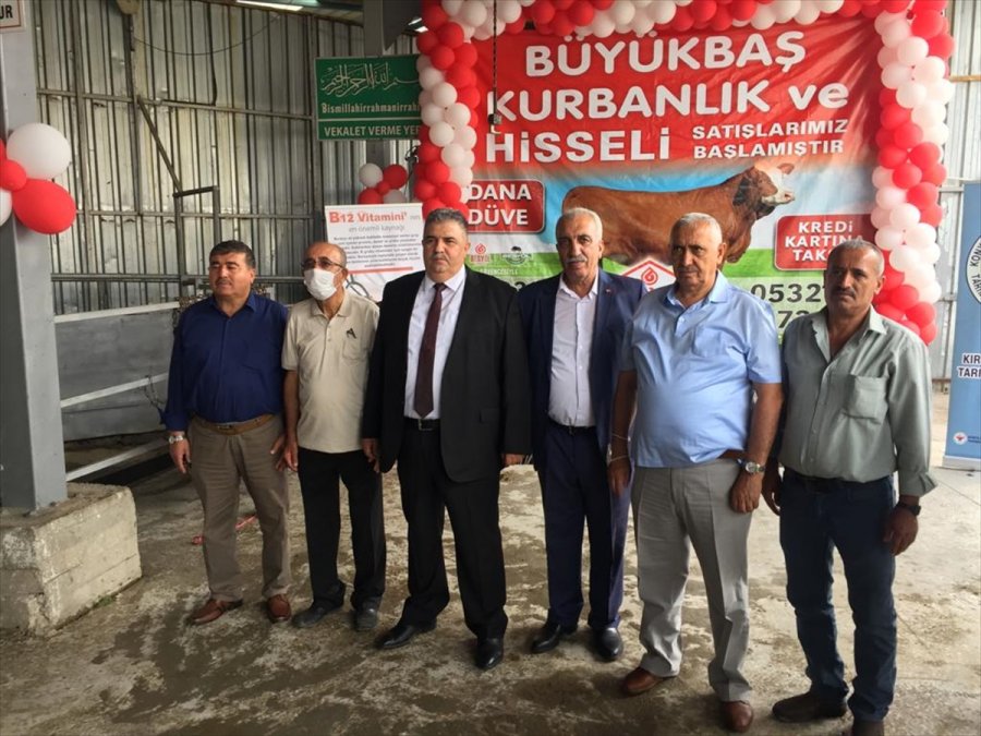 Konya'da Kurbanlık Hayvanların Canlı Kilogram Fiyatları Belirlendi