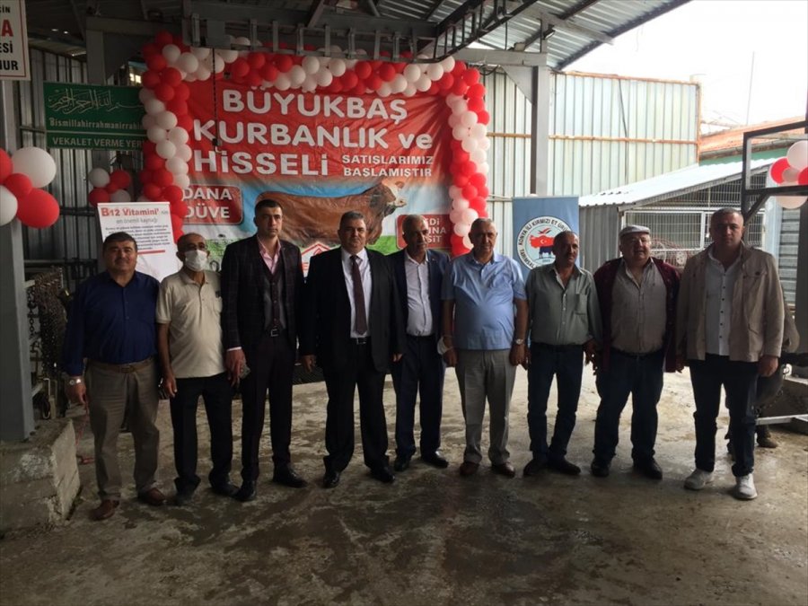 Konya'da Kurbanlık Hayvanların Canlı Kilogram Fiyatları Belirlendi