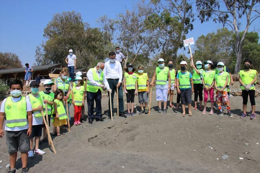 Mersin Kumsalları Anaç Deniz Kaplumbağaları İçin Temizleniyor