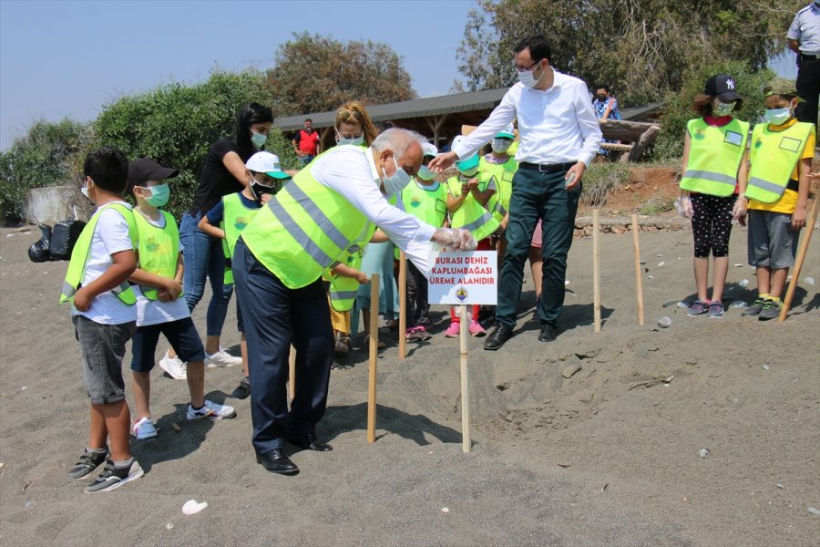 Mersin Kumsalları Anaç Deniz Kaplumbağaları İçin Temizleniyor