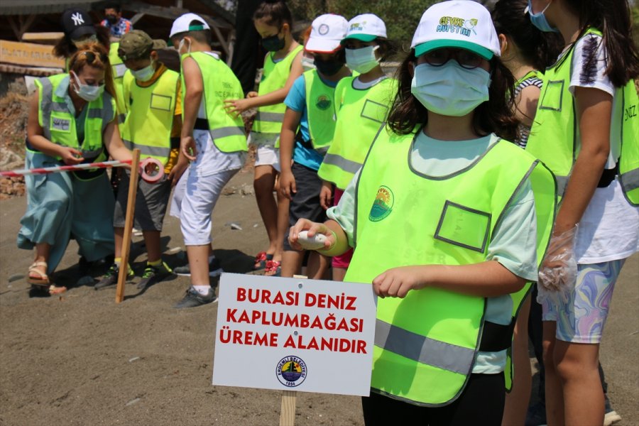 Mersin Kumsalları Anaç Deniz Kaplumbağaları İçin Temizleniyor