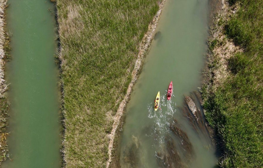 İç Anadolu'nun Batısında Gizli Kalmış Bir Kuş Cenneti: Balıkdamı