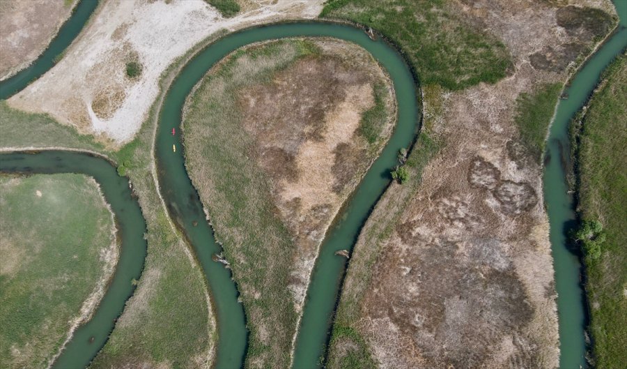 İç Anadolu'nun Batısında Gizli Kalmış Bir Kuş Cenneti: Balıkdamı