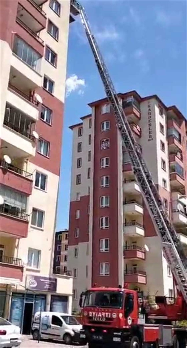 Kayseri'de Çatı Oluğunda İpe Dolanan Kırlangıç Ve Kuyuya Düşen Tilki Yavrusu Kurtarıldı