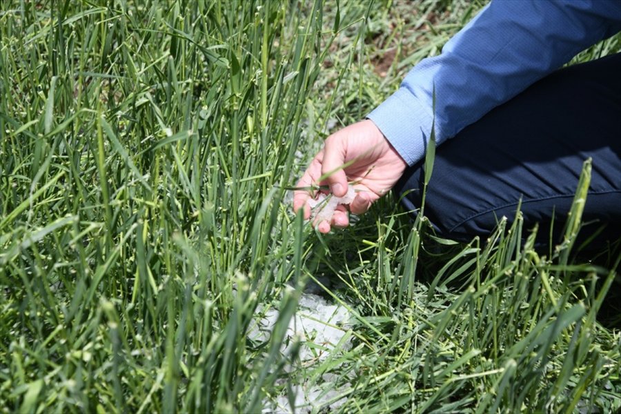 Kayseri'nin Pınarbaşı İlçesinde Dolu 5 Bin Dekar Ekili Alana Zarar Verdi