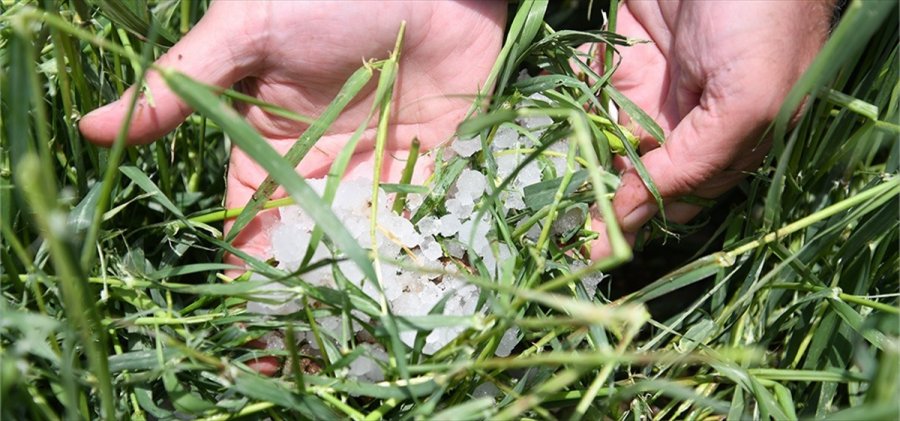 Kayseri'nin Pınarbaşı İlçesinde Dolu 5 Bin Dekar Ekili Alana Zarar Verdi