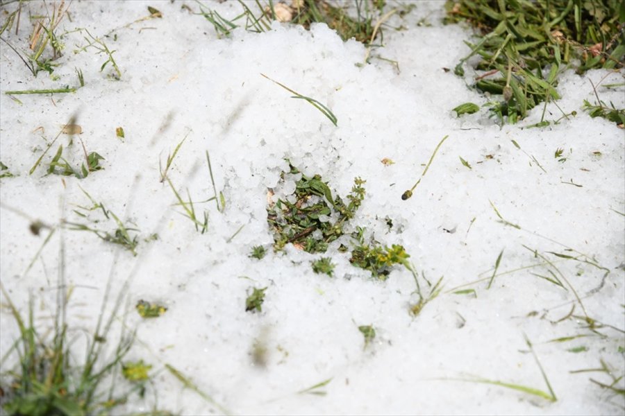 Kayseri'nin Pınarbaşı İlçesinde Dolu 5 Bin Dekar Ekili Alana Zarar Verdi