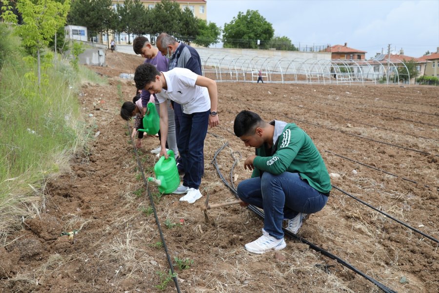 Öğretmen Ve Öğrenciler Okul Bahçesinde Sebze Üretmeye Başladı