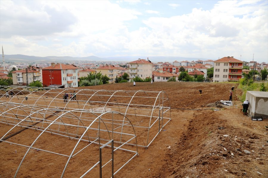 Öğretmen Ve Öğrenciler Okul Bahçesinde Sebze Üretmeye Başladı