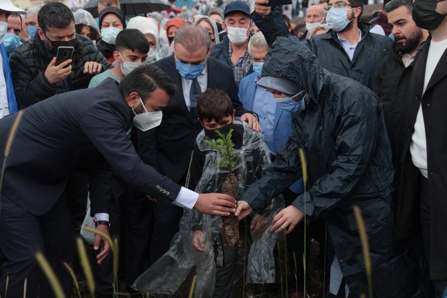 Ak Parti Keçiören İlçe Başkanlığınca "recep Tayyip Erdoğan Hatıra Ormanı" Oluşturuldu