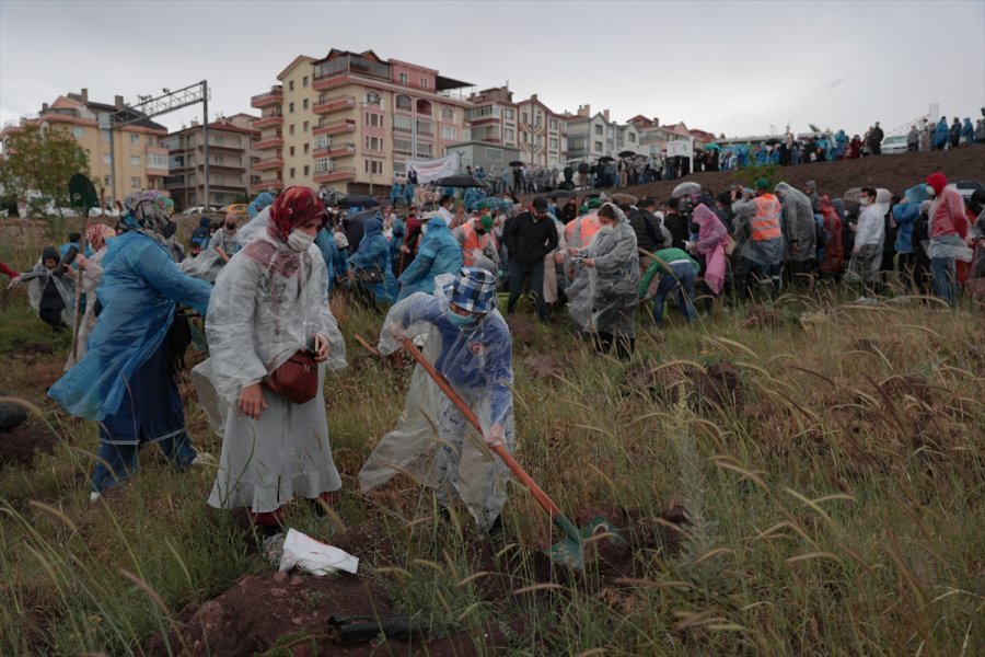 Ak Parti Keçiören İlçe Başkanlığınca "recep Tayyip Erdoğan Hatıra Ormanı" Oluşturuldu