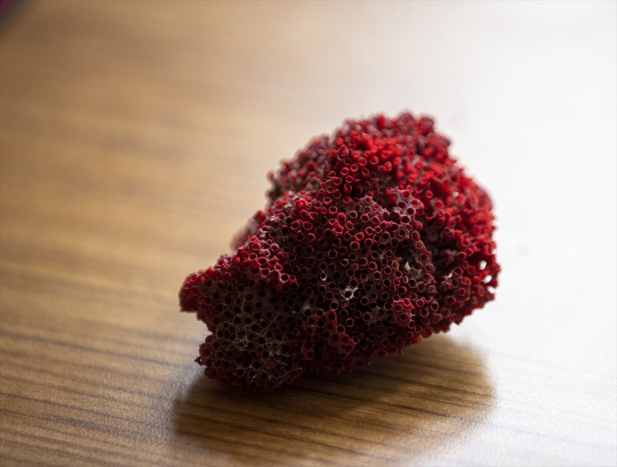 Aktarlarda Satılan "kardeş Kanı" Bitkisi, Hayati Tehlike Yaratıyor