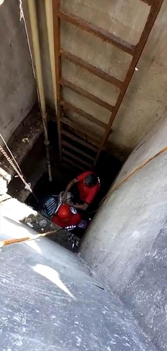 Mersin'de Kuyuda Ve Ağaçta Mahsur Kalan İki Kedi Kurtarıldı