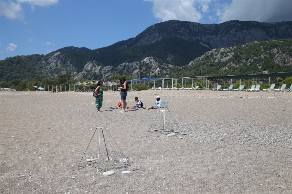 Antalya'da Caretta Caretta Yuvalarına Yakın Takip
