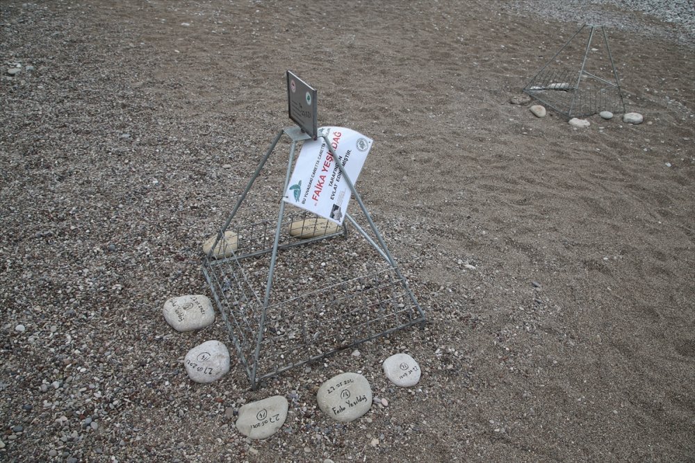 Antalya'da Caretta Caretta Yuvalarına Yakın Takip