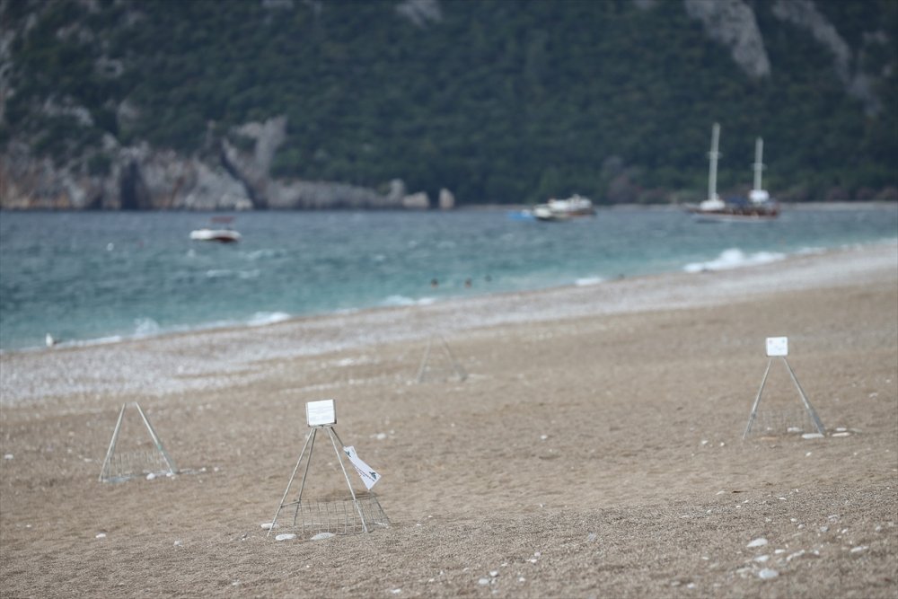 Antalya'da Caretta Caretta Yuvalarına Yakın Takip