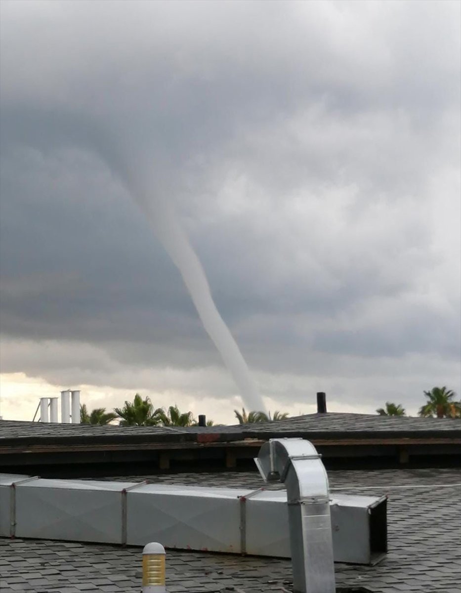 Muz Yüklü Konteynerde  Kokain Ele Geçirildi