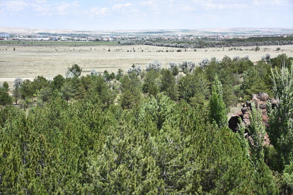 Dünyada İlk Örnek: Yeşeren Çöl Karapınar