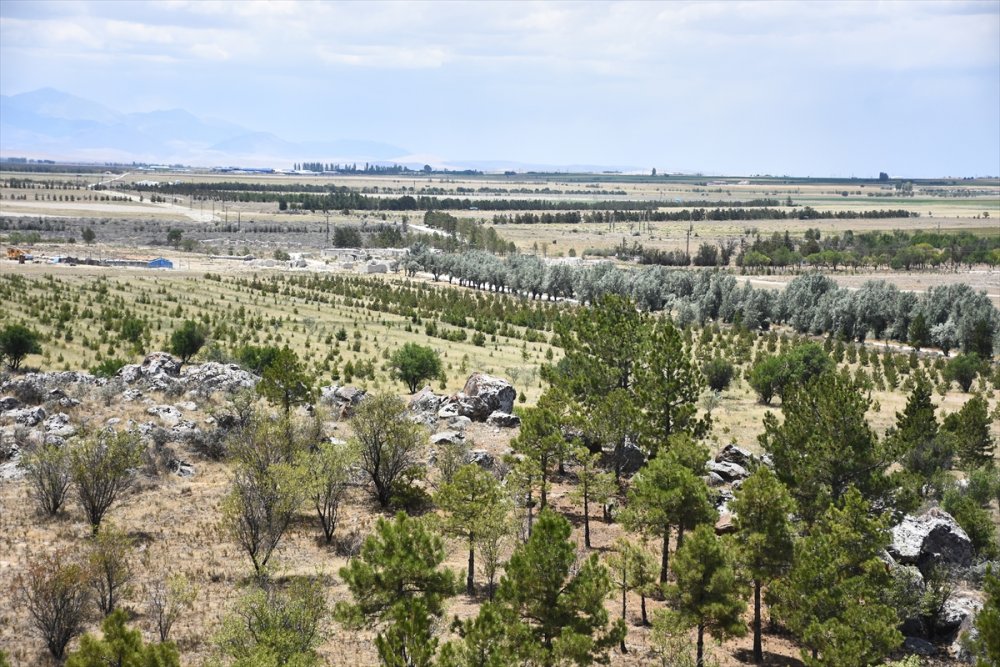 Dünyada İlk Örnek: Yeşeren Çöl Karapınar