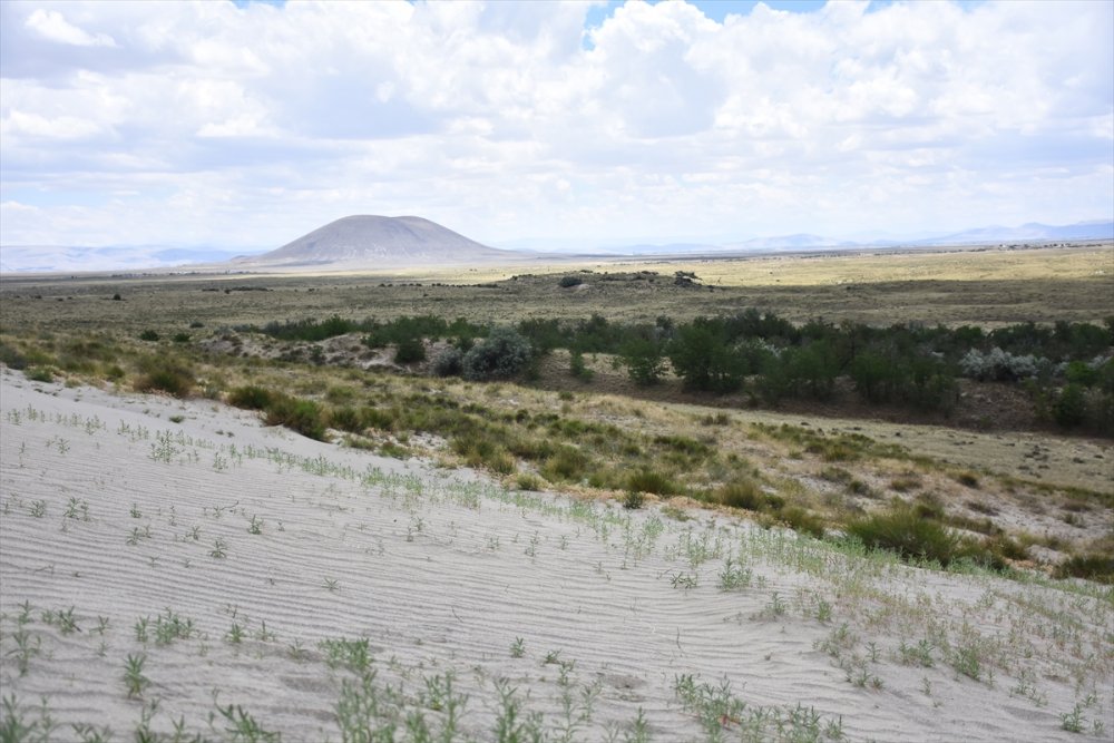 Dünyada İlk Örnek: Yeşeren Çöl Karapınar