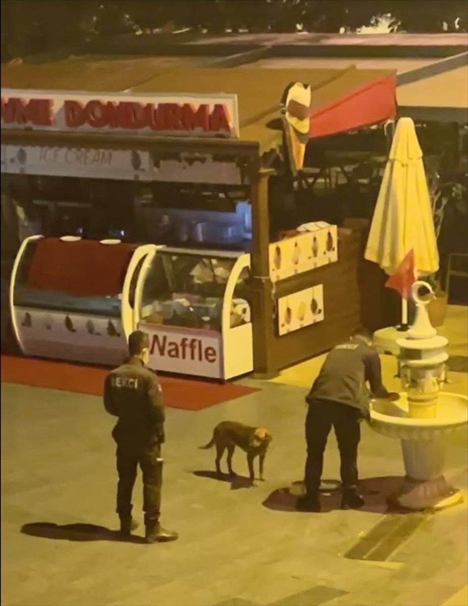 Kaş'ta Bekçinin Çeşme Çevresinde Dolaşan Köpeğe Eliyle Su İçirmesi Kameraya Yansıdı